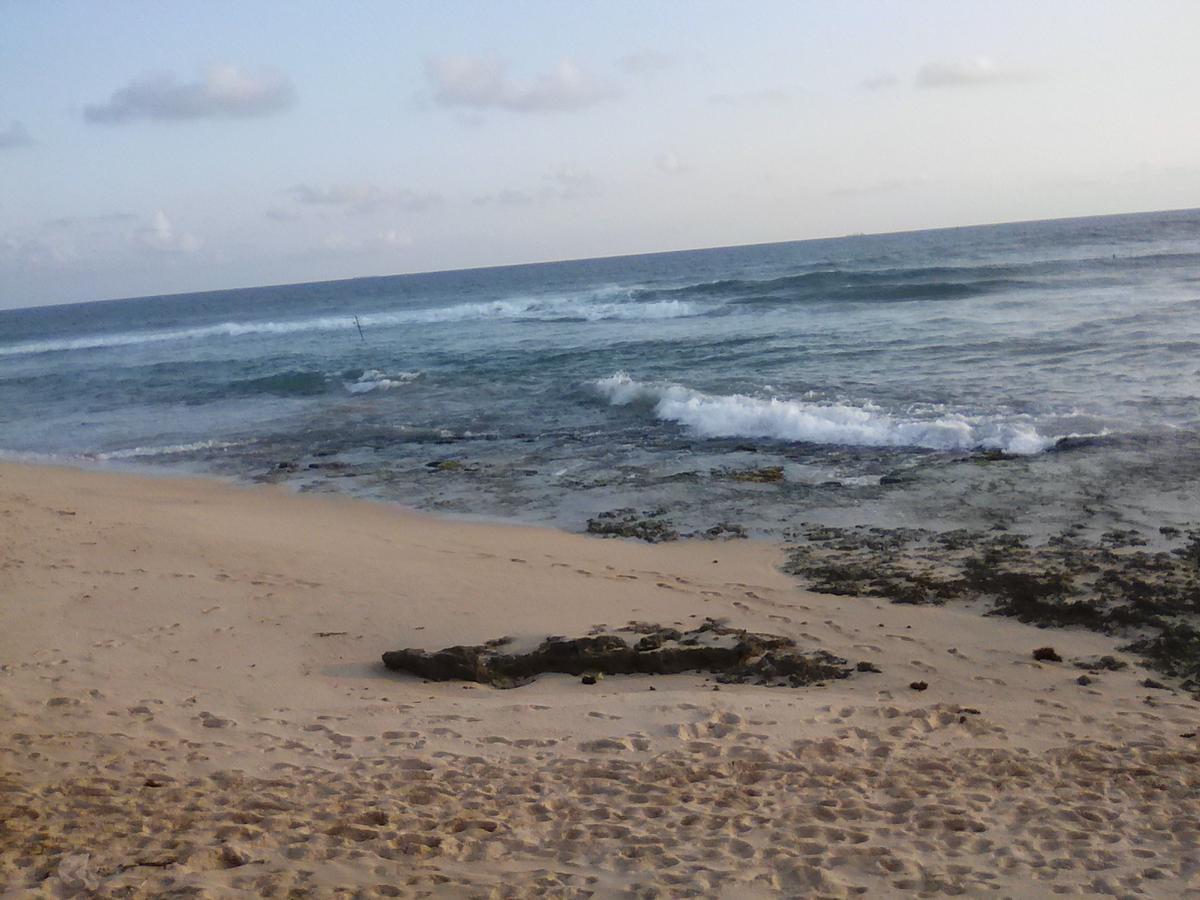 Shantha Surf Villa Weligama Kültér fotó