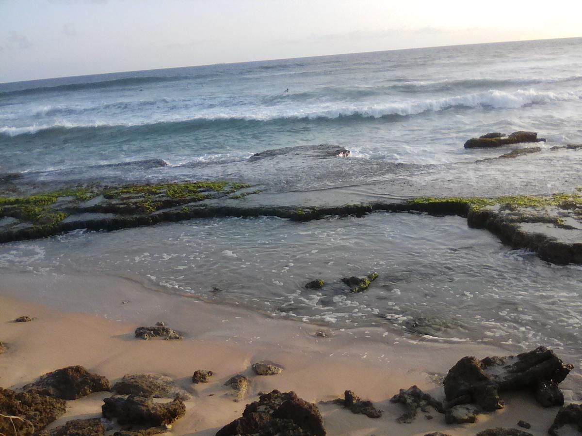 Shantha Surf Villa Weligama Kültér fotó